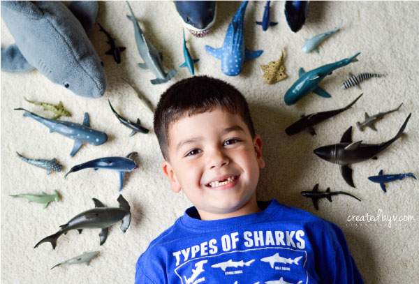 Celebrating Shark Week with Kids