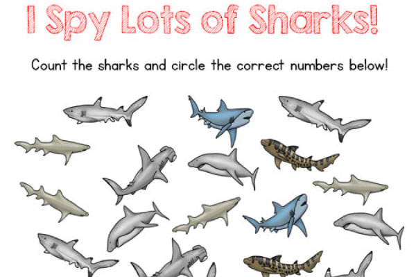 Save on Shark, Games & Activities