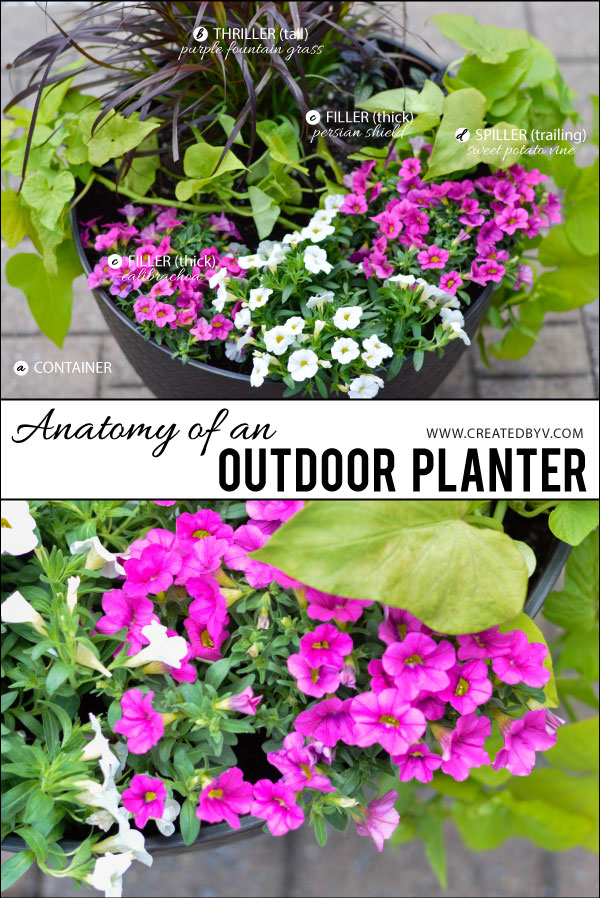 Anatomy of an Outdoor Planter - created by v.