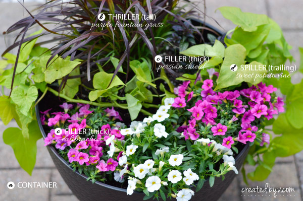 Anatomy of an Outdoor Planter