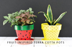 Fruit-Inspired Terra Cotta Pots