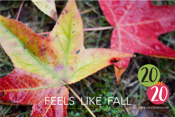 Fall Like Fall 20 on 20 // Feels Like Fall - created by v.